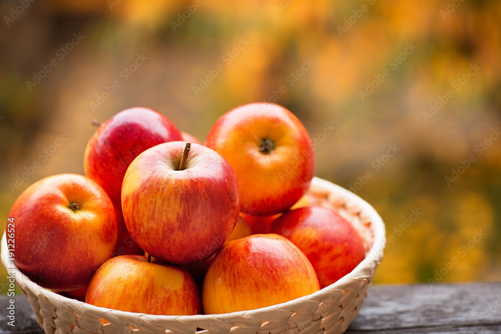 Red Apples in the Bowl in the Garden. Red Apples in the Bowl in the Garden.