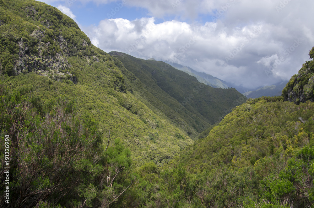 Rabacal valley, Madeira island, Portugal