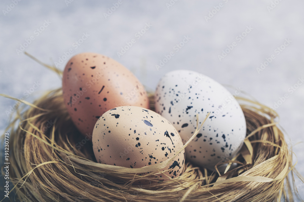Cute creative with easter eggs in the nest