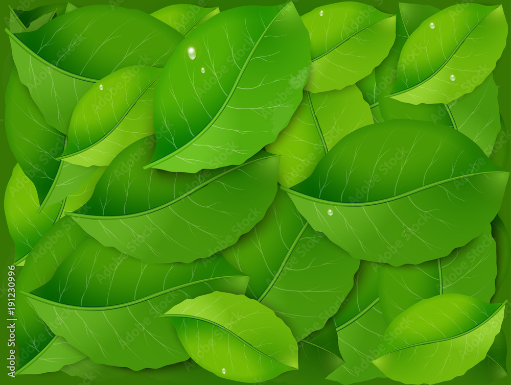Obraz premium pile of green fresh realistic leaves, freshness,