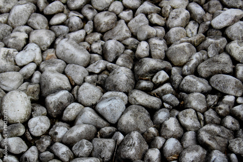 Grey rocks and pebbles (stones) texture on a flat river bank, with high contrast with highlights