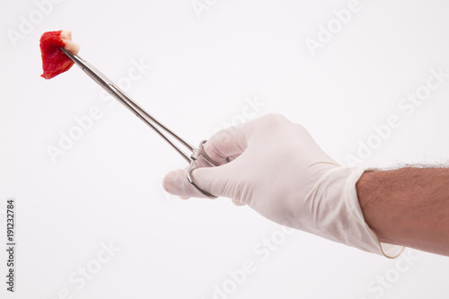 sterile, clamp used for surgery and white bacground