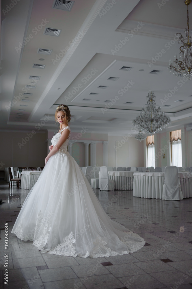 Fototapeta premium Beautiful bride in wedding dress before wedding ceremony