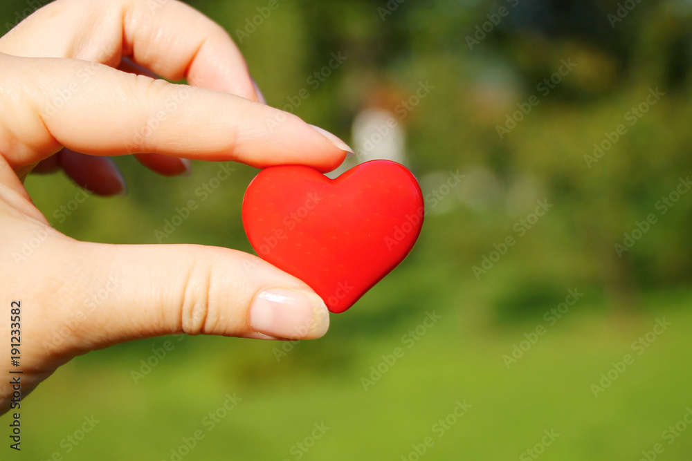 Small red heart in woman's hand Small red heart in woman's hand