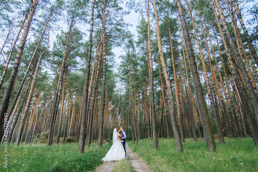 the first kiss of beautiful wedding bride and groom after the wedding ceremony. The wedding day is the day of creating a new family the first kiss of beautiful wedding bride and groom after the wedding ceremony. The wedding day is the day of creating a new family