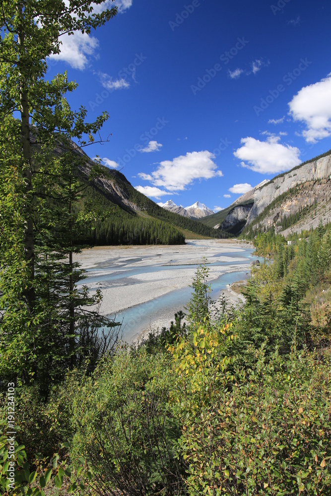 upright picture of river with low water and beautiful surrounding at Icefield Parkway, Canada