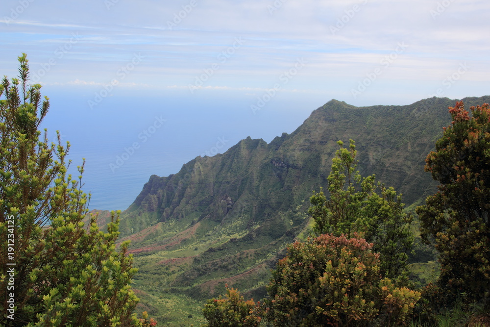 Blick auf die Küste von Kauai vom Scenic Overlook im Waimea Canyon Kauai Hawaii USA