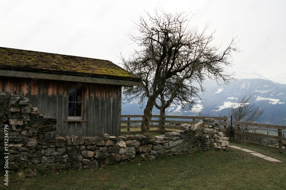 Obraz premium Chicken house made of wood. In the background are alps in the fog. Before the chicken coop old stone wall runs, next to it grow a pair of trees. There is a wooden fence around.