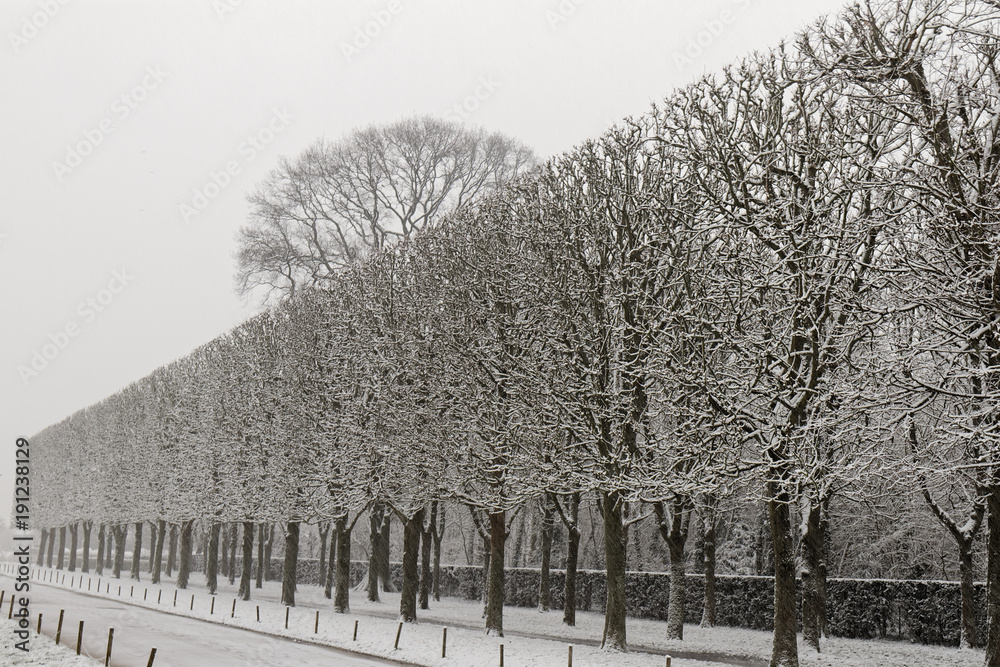 06 FEB 2018 - PARIS - France - Snowing in Sceaux Park