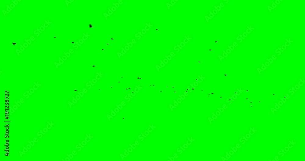 Flock of birds flying by in the distance, on a green background