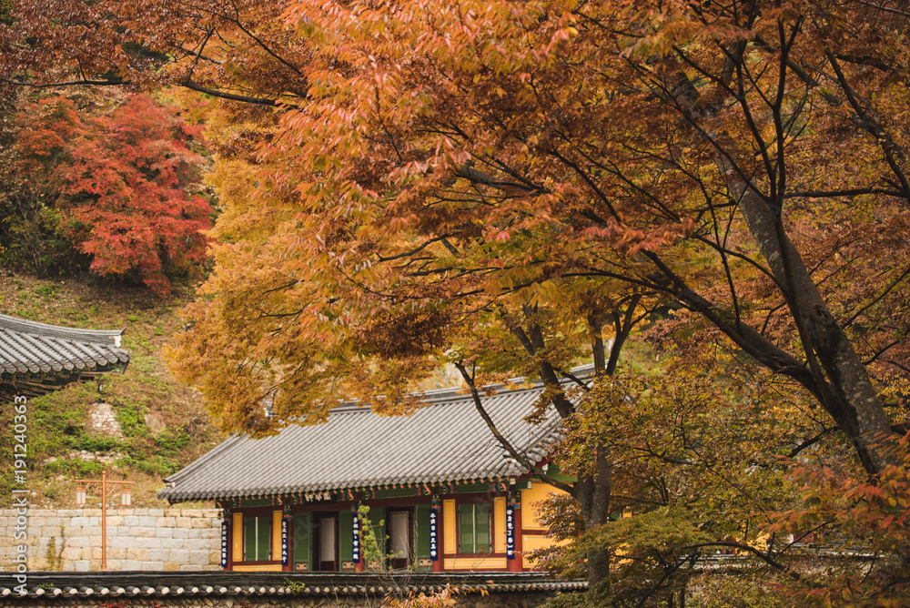 Morning light and rituals at Haein-sa Temple at the foot of Gayasan Mountain, South Korea Morning light and rituals at Haein-sa Temple at the foot of Gayasan Mountain, South Korea