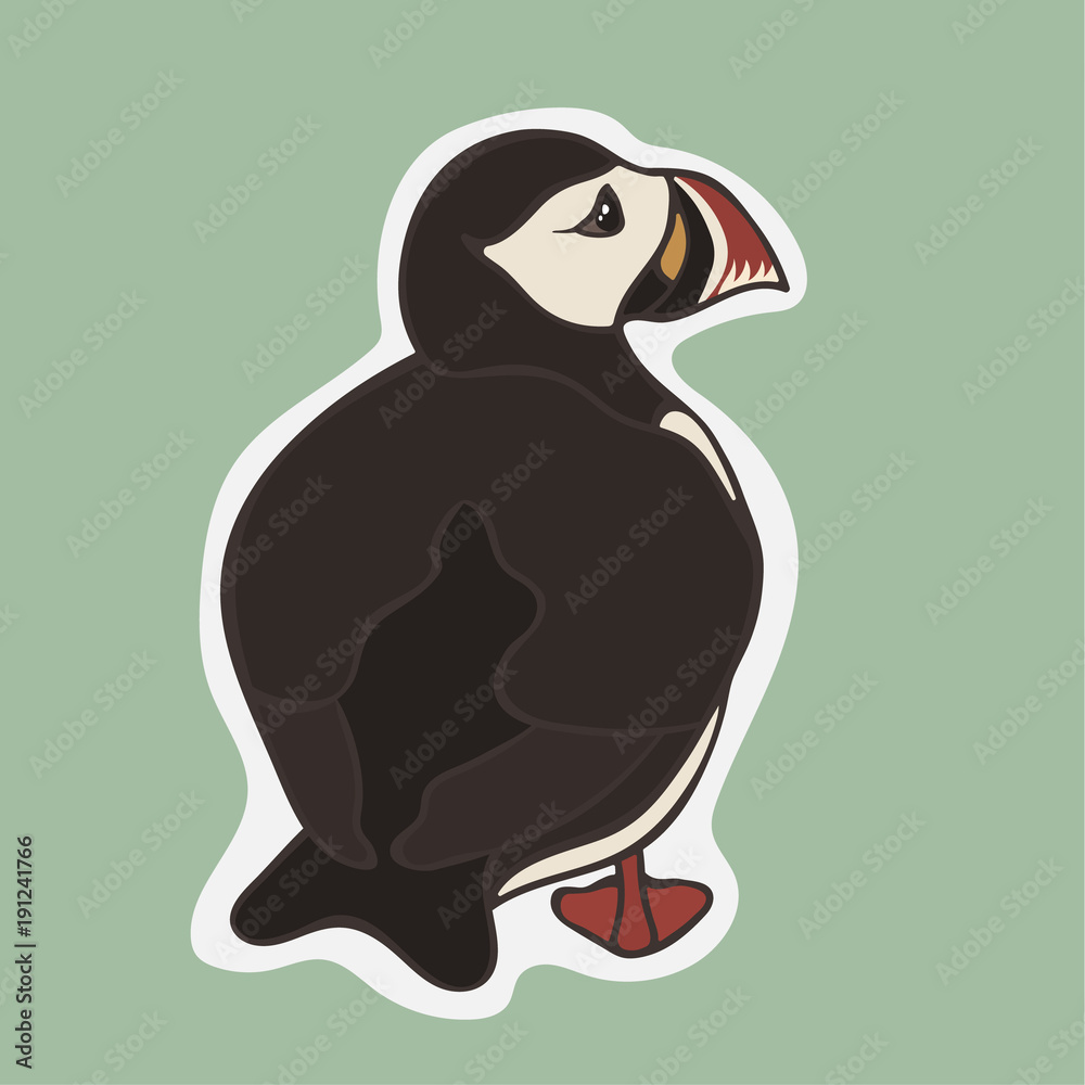 Puffin vector image isolated on white background. Cartoon Icelandic puffin.  Cute Iceland bird. Puffin strolls, rear view Wildlife in minimal flat  style. Black and white bird with multicolored beak. Stock Vector |