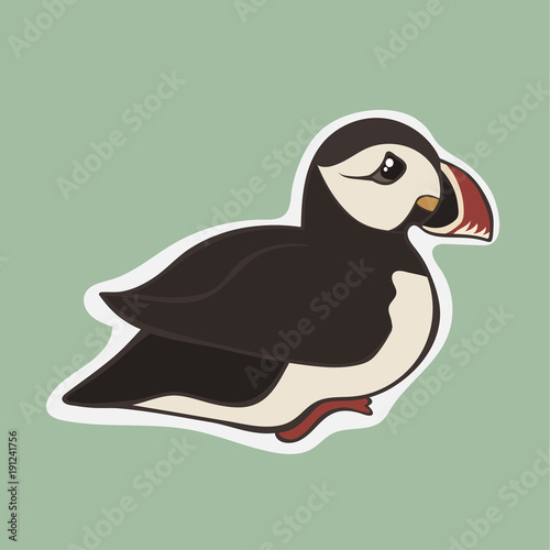 Puffin bird vector image isolated on white background. Cartoon Icelandic puffin. Cute Iceland bird. Puffin sits, side view. Wildlife in minimal flat style. Black and white bird with multicolored beak.