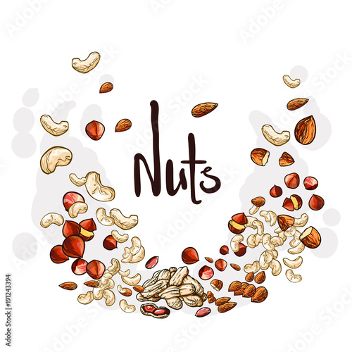 Vector set of different nuts with text. Isolated on white background. Healthy food.