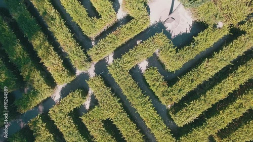 Hedge maze in city park. Labyrinth in the bushes. Beautiful summer in town, green trees. Woman is walking through a maze - 4K Drone Footage