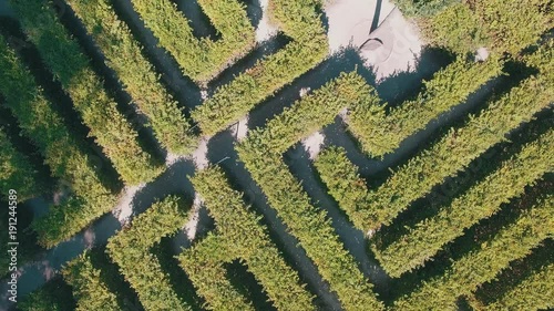 Hedge maze in city park. Labyrinth in the bushes. Beautiful summer in town, green trees. Woman is walking through a maze - 4K Drone Footage photo