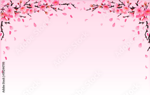 Realistic sakura japan cherry branch