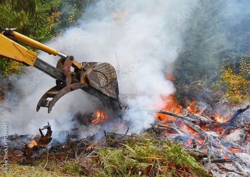 Fotografi Backhoe bucket pushing in branches and stumps in burn pile