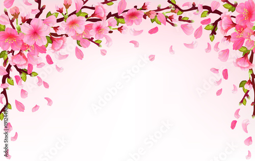 Realistic sakura japan cherry branch