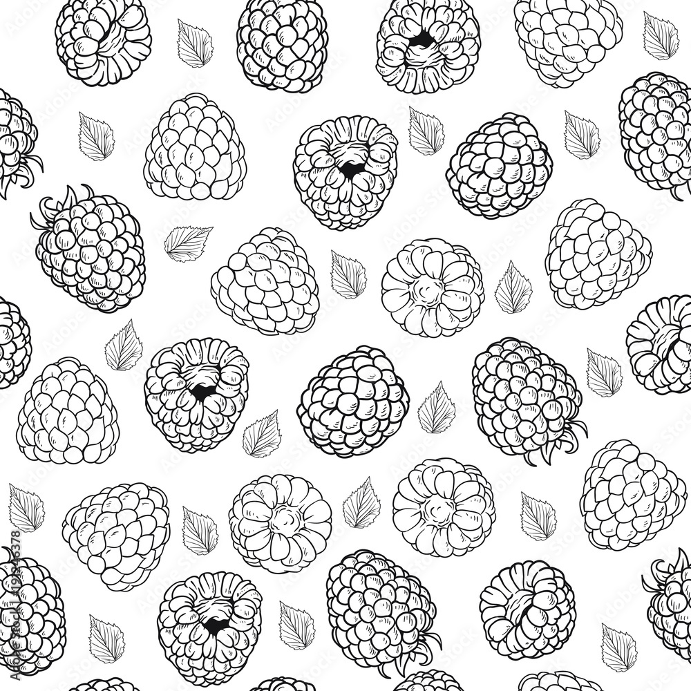 Vector pattern of raspberry. Isolated on white background. Line art ...