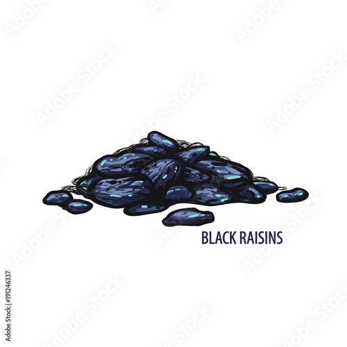Vector set of black raisins with text. Isolated on white background.