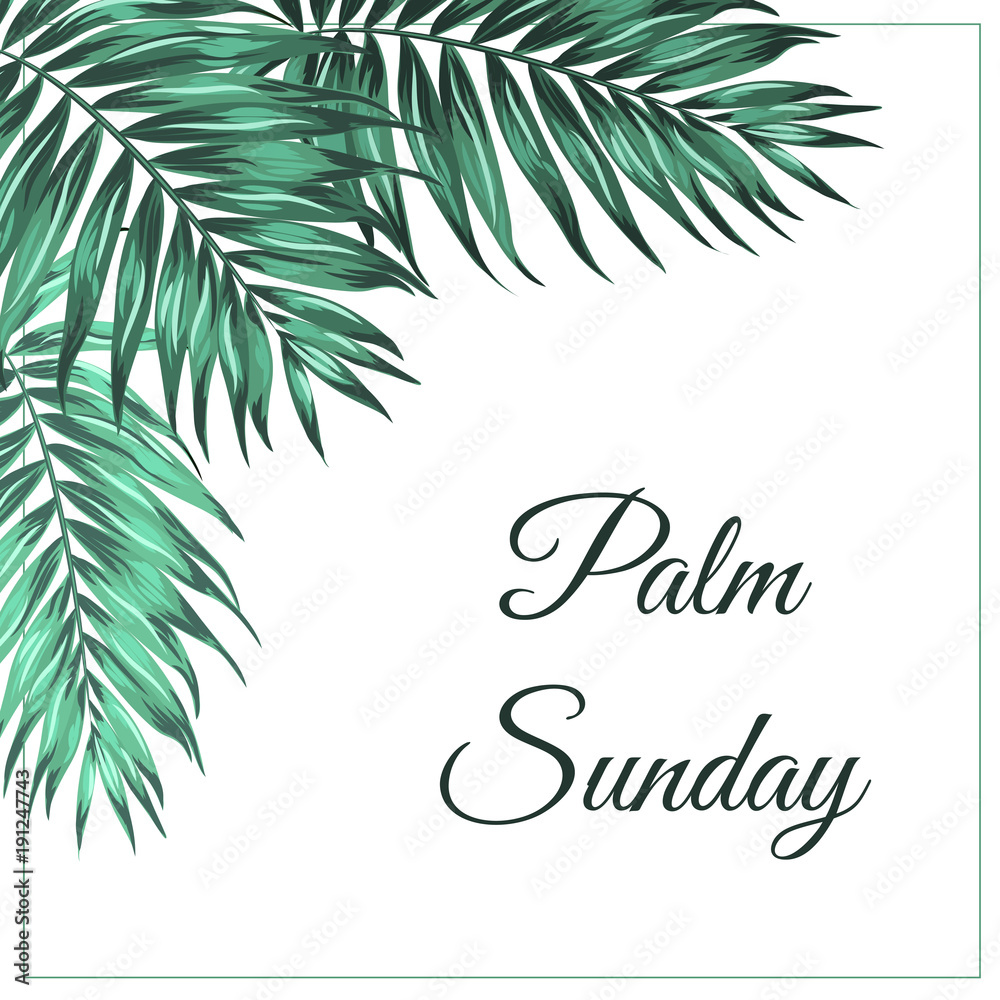 Palm Sunday Christian feast holiday. Tropical jungle tree palm green leaves corner frame decoration. Text placeholder. White background. Vector design illustration.