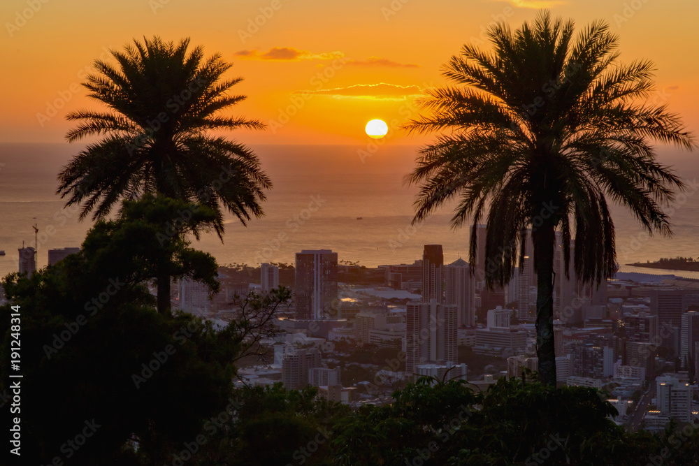 Silhouette of coconut trees with cityscape at sunset, Honolulu, Hawaii