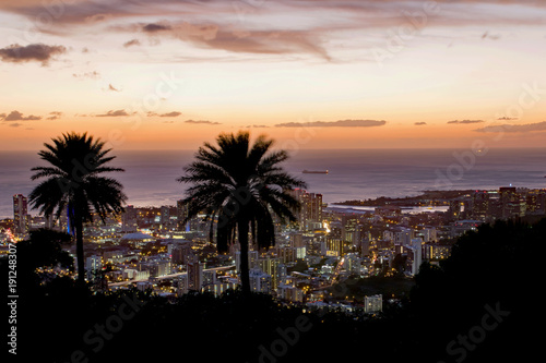 Silhouette of coconut trees with cityscape at sunset, Honolulu, Hawaii © YiChen