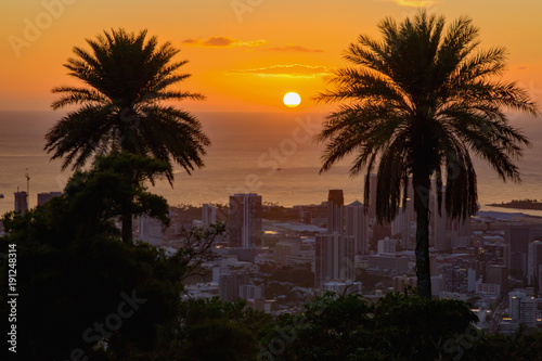 Silhouette of coconut trees with cityscape at sunset, Honolulu, Hawaii