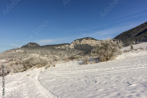 Winter view on frozen landscape in Valaska Dubova, Slovakia