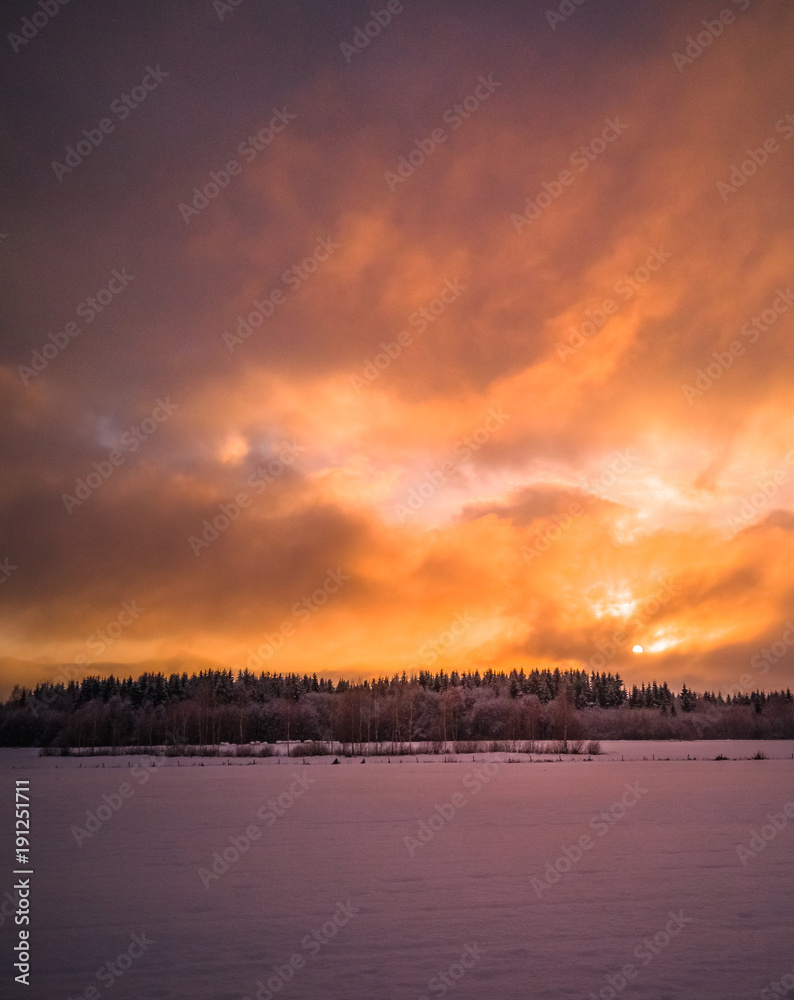 Calm Evening Photo with the Field and Forest with the Sunset in the Background