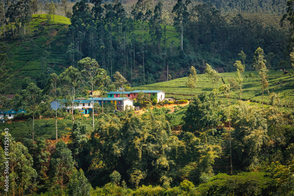 Beautiful view on houses in the Sri Lanka nature, close to Adams Peak