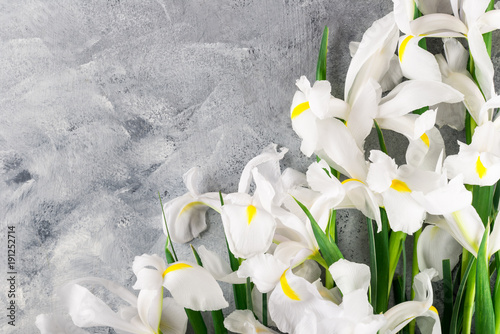 Fototapeta Naklejka Na Ścianę i Meble -  Bouquet of Beautiful Iris Flowers