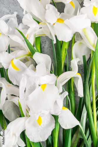 Fototapeta Naklejka Na Ścianę i Meble -  Bouquet of Beautiful Iris Flowers