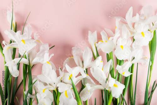 Fototapeta Naklejka Na Ścianę i Meble -  Bouquet of Beautiful Iris Flowers