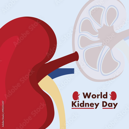 world kidney day awareness disease care vector illustration