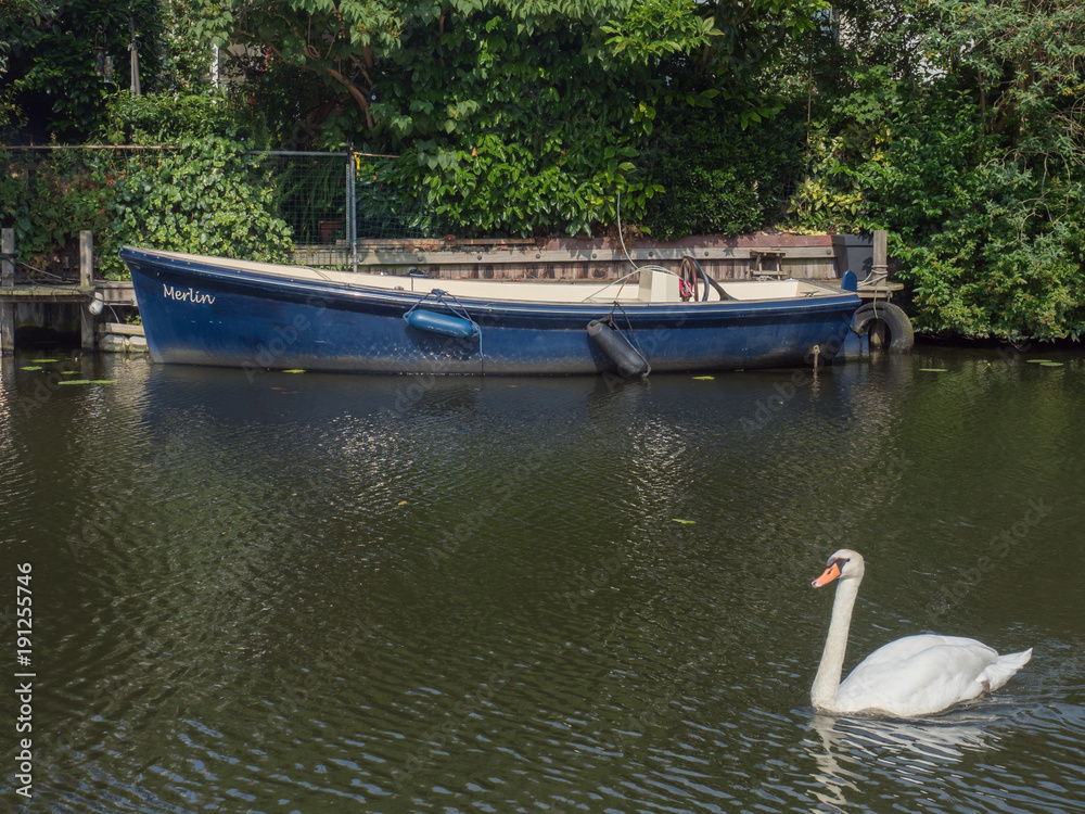 Obraz premium Boat and swan in water