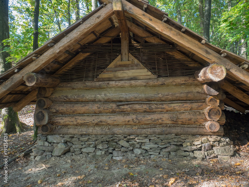 Cottage in forest