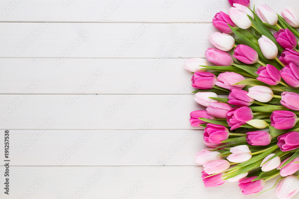 Fototapeta premium Różowy tulipan na białym tle. Wielkanocny tło.