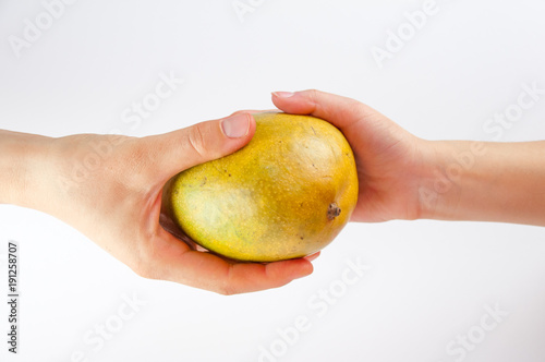 Mango in hand on a white background