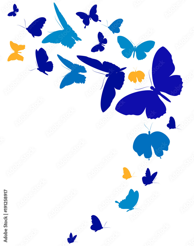 Fototapeta premium beautiful blue butterflies, isolated on a white