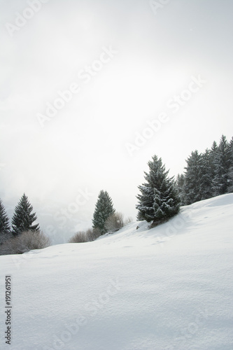 Schneebedeckter Hügel im Winter mit dichter Nebeldecke © Remo