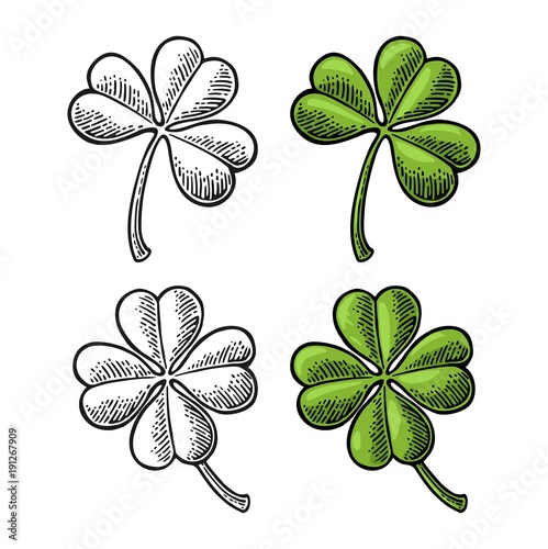 Good luck four and three leaf clover. Vintage vector color and black engraving illustration for info graphic, poster, web. Black on white background