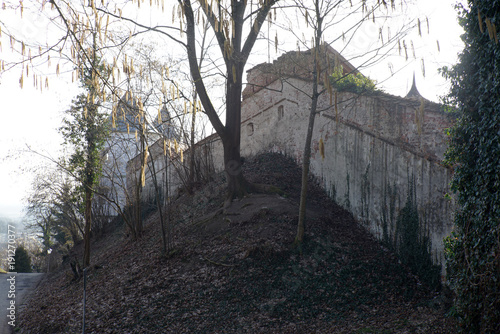 The city's landmark is Wörth Castle on the Danube in the Renaissance style
 photo