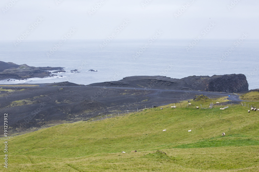 ヘイマエイ島南部の風景 ヘイマエイ島南部の風景