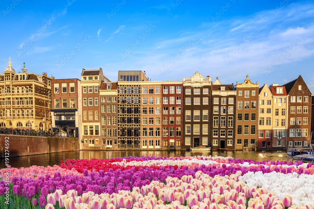 Fototapeta premium Amsterdam city skyline at canal waterfront with spring tulip flower, Amsterdam, Netherlands