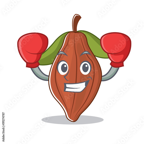 Boxing cacao bean character cartoon