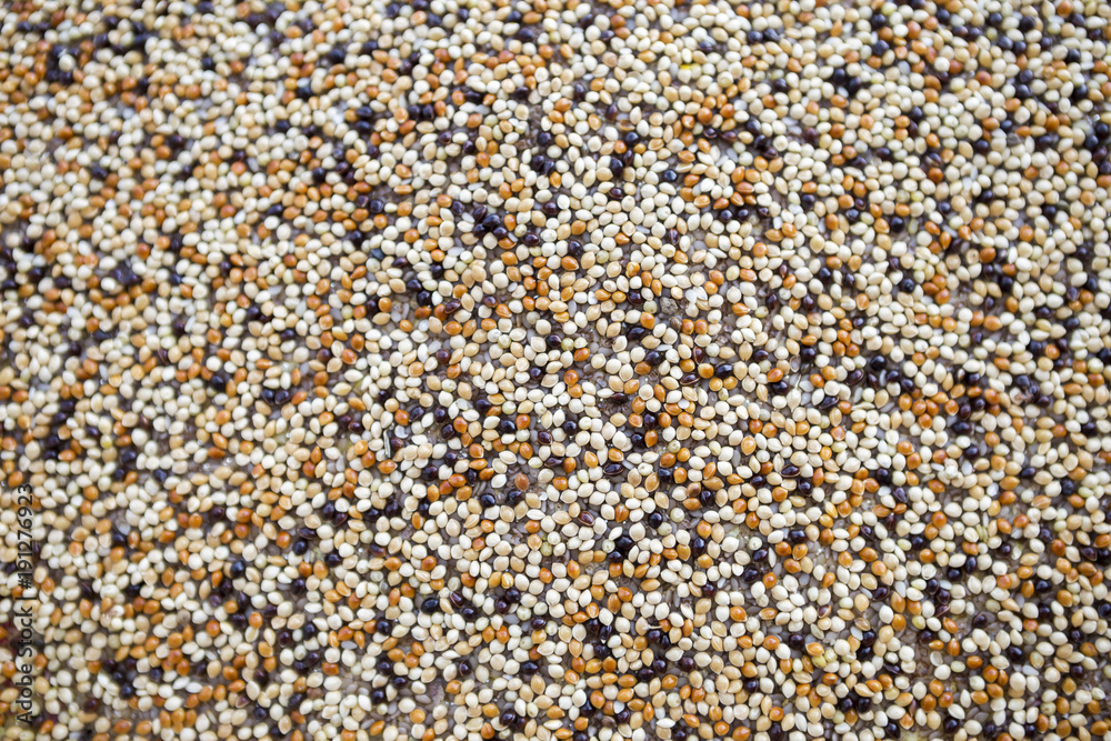 Abstract closeup blurred color seed background Abstract closeup blurred color seed background