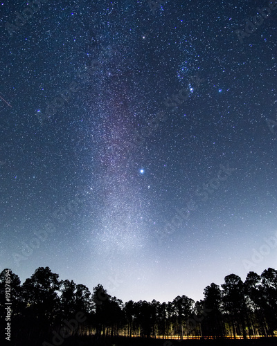 Sternenhimmel im De Soto National Park, Mississippi, USA photo