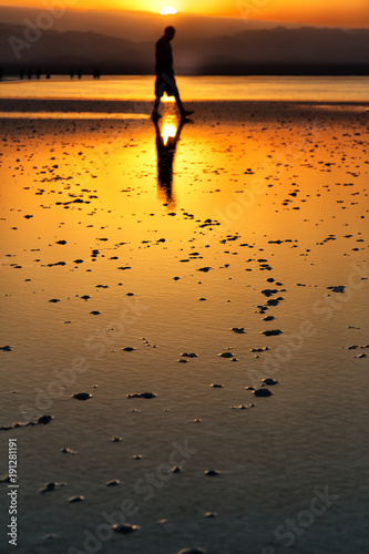 the sunset reflex  in the  salt lake photo